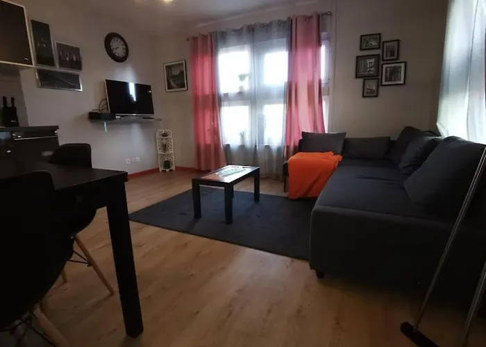 N1 F2 40M2 Avec Petit Jardin
